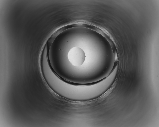 X0000090471438200707131250