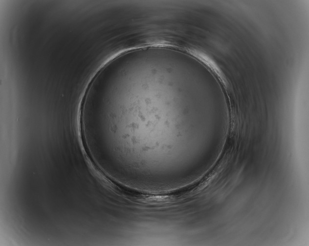 X0000090471439200707131250
