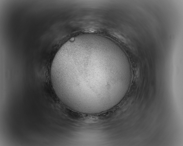 X0000090471446200707131249