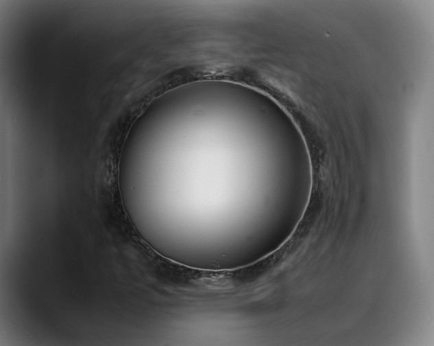 X0000090471447200707131249