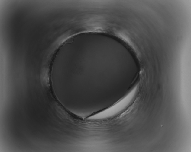 X0000090471455200707131249
