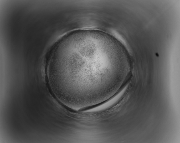 X0000090471456200707131249