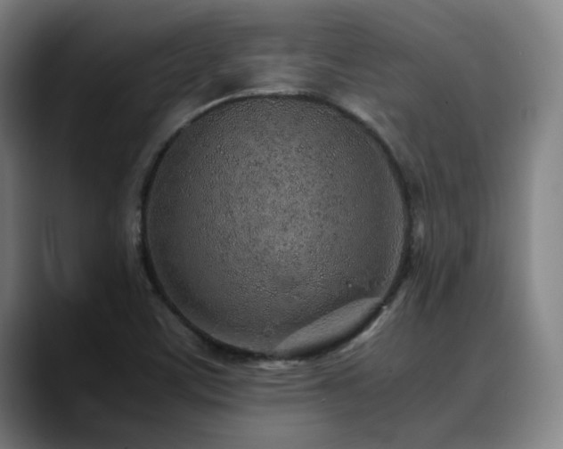 X0000090471459200707131249