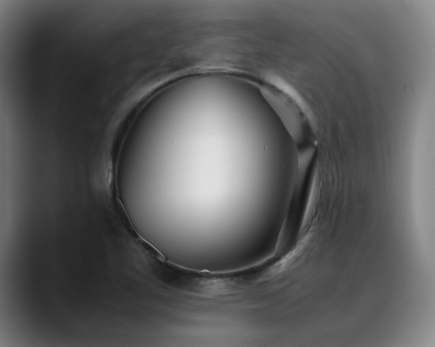 X0000090471461200707131249