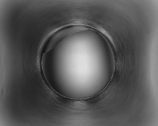 X0000090471464200707131249