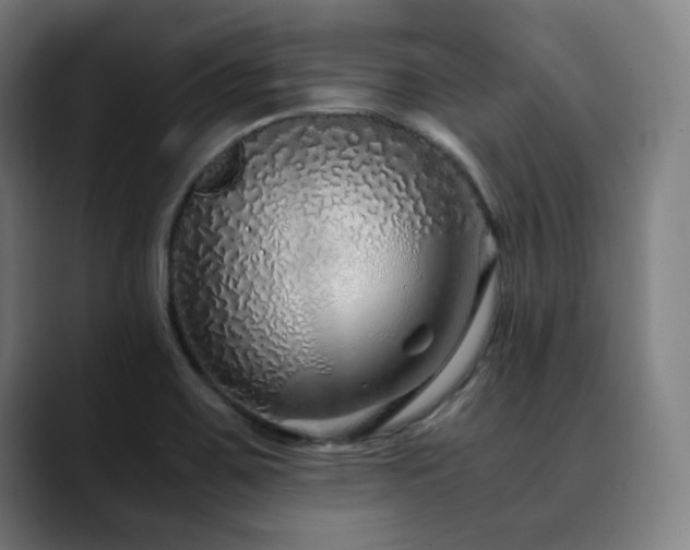 X0000090471467200707131249