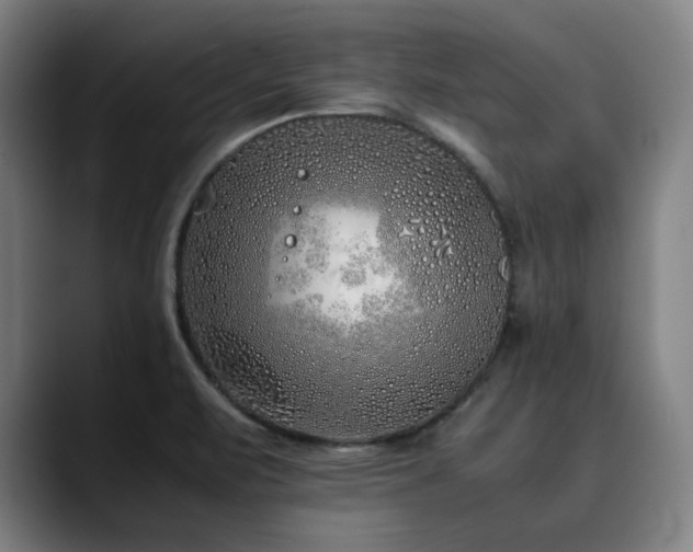 X0000090471471200707131249