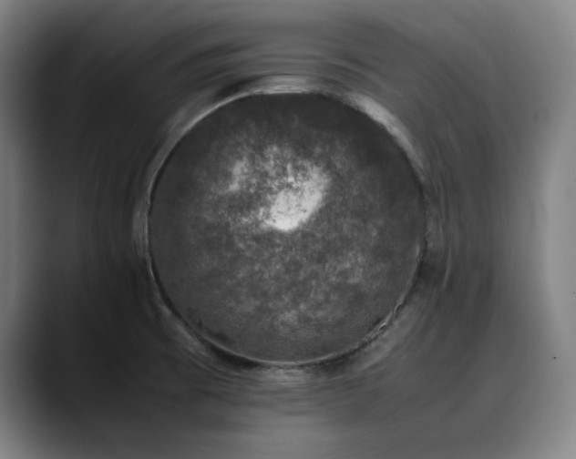 X0000090471473200707131249