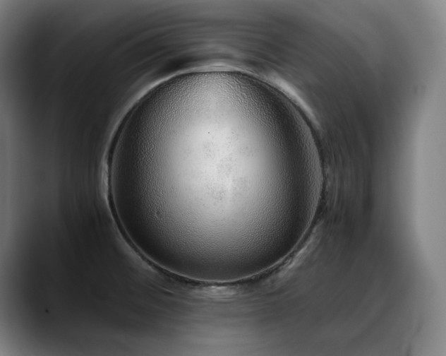 X0000090471476200707131249