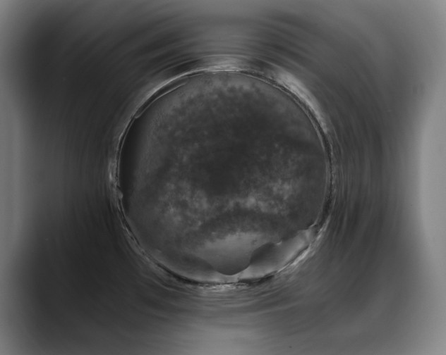 X0000090471481200707131249