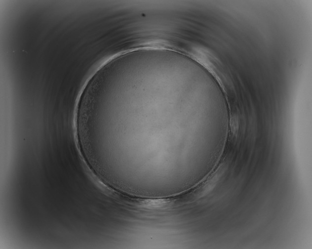 X0000090471482200707131249