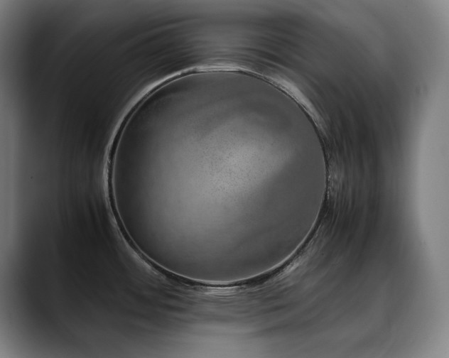 X0000090471484200707131249