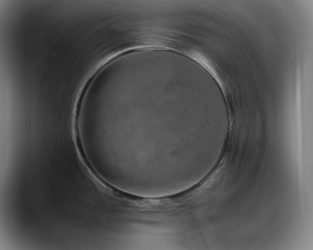 X0000090471485200707131249