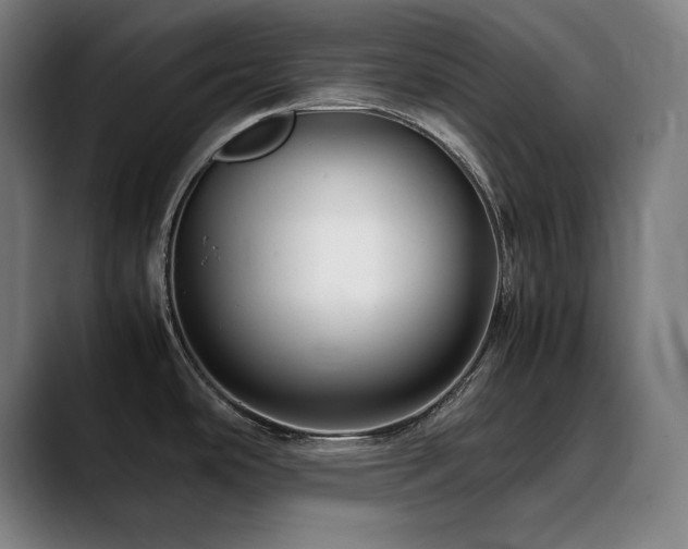 X0000090471486200707131249