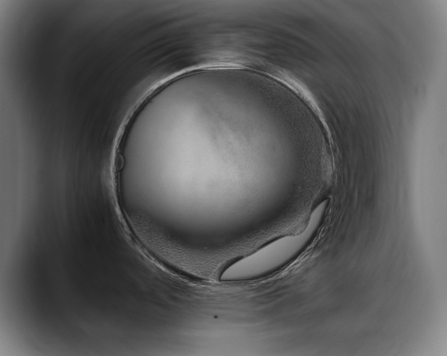 X0000090471488200707131249