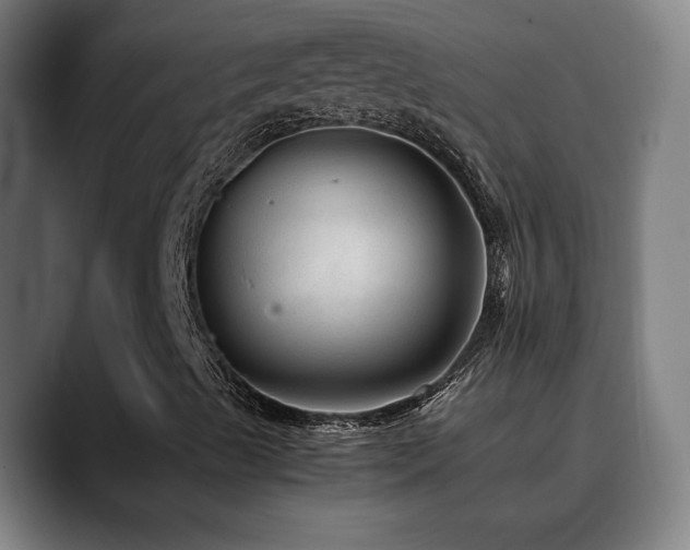 X0000090471489200707131248