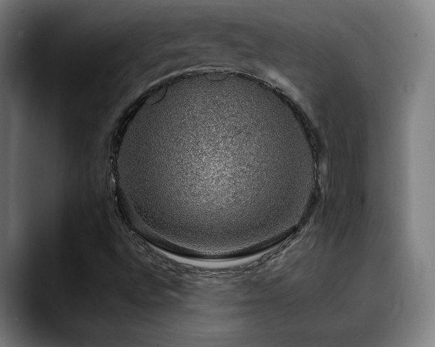 X0000090471496200707131248