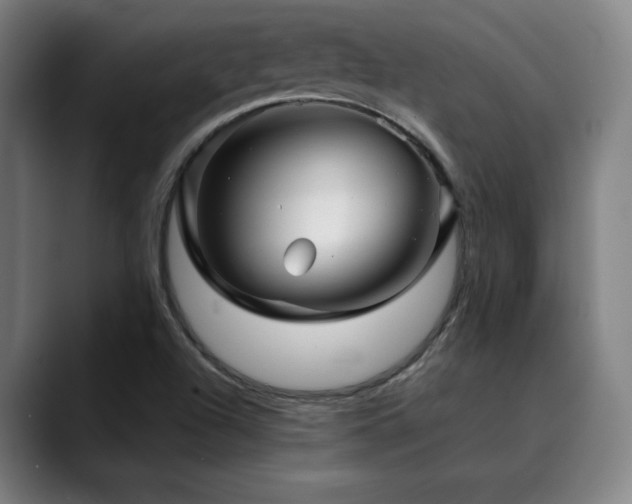 X0000090471504200707131248