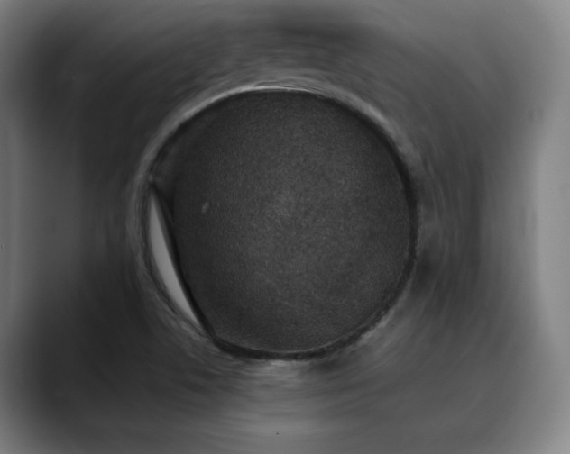 X0000090471506200707131248