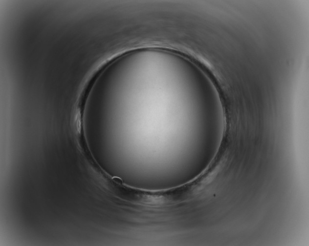 X0000090471509200707131248