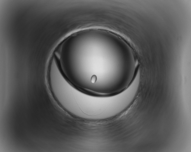 X0000090471518200707131248