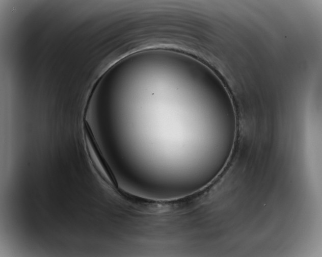 X0000090471521200707131248