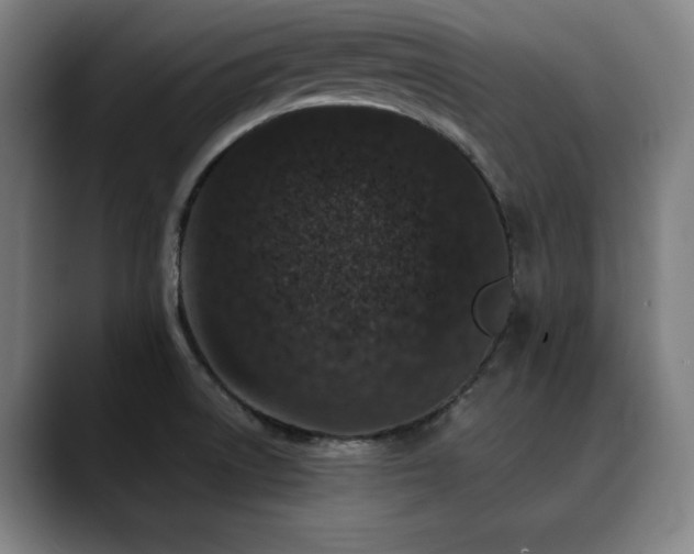 X0000090471522200707131248