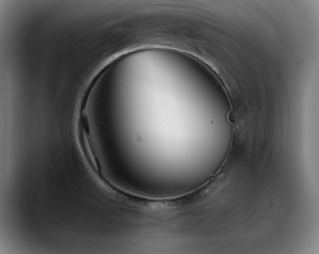 X0000090471523200707131248