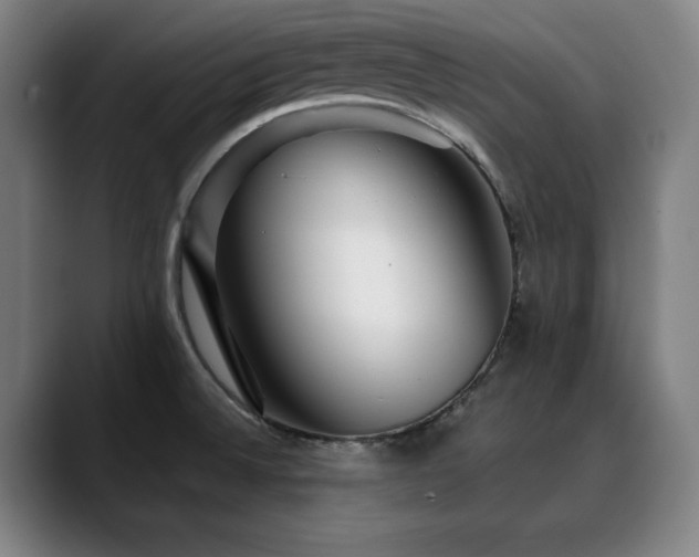 X0000090471524200707131248