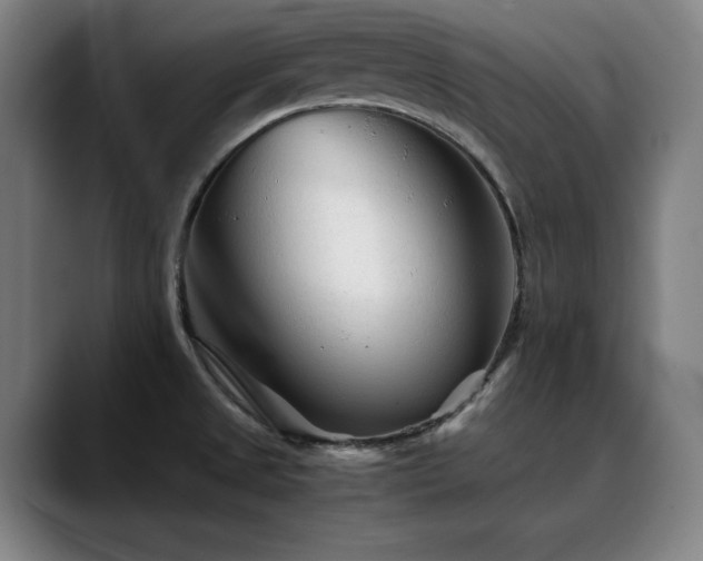 X0000090471525200707131248