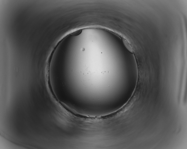 X0000090471526200707131248