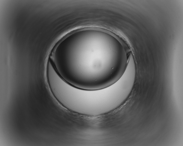 X0000090471528200707131248