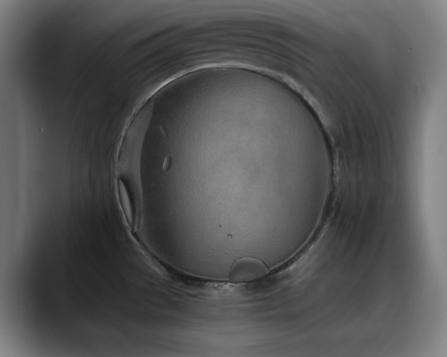 X0000090471529200707131248