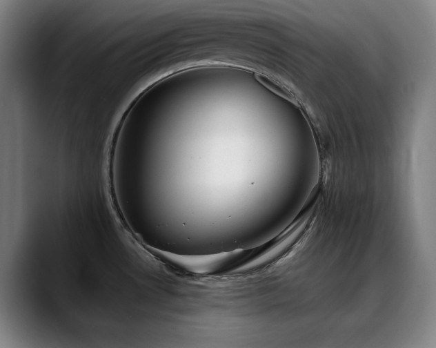 X0000090471530200707131248