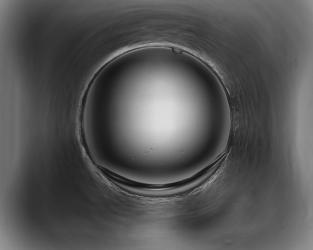 X0000090471534200707131249