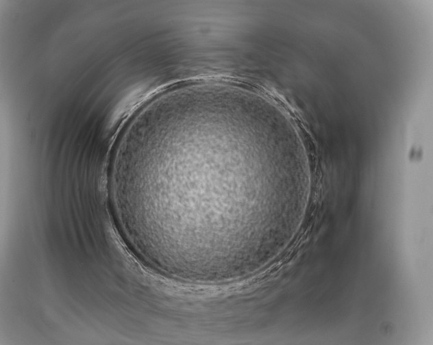 X0000090470002200707201404