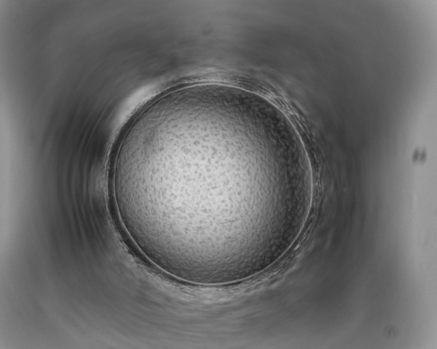 X0000090470006200707201404