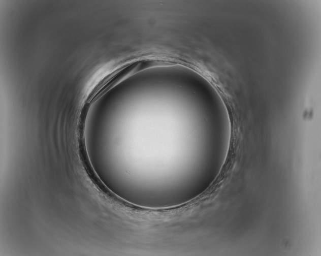 X0000090470007200707201404