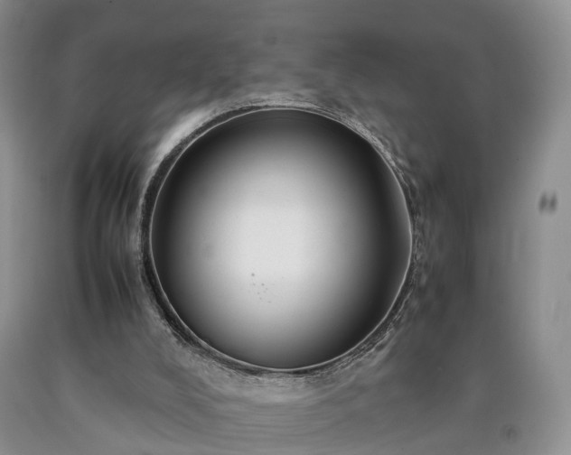 X0000090470008200707201404