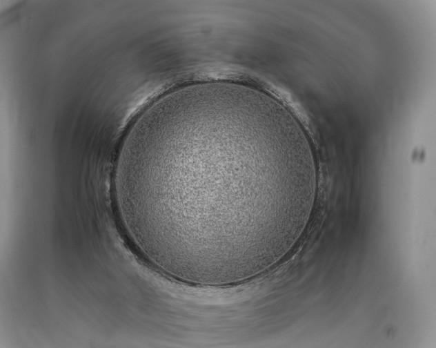 X0000090470010200707201404