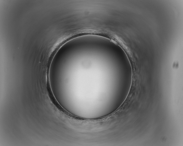 X0000090470011200707201404