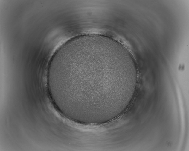 X0000090470012200707201404