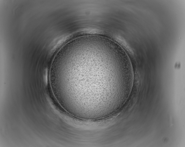 X0000090470014200707201404