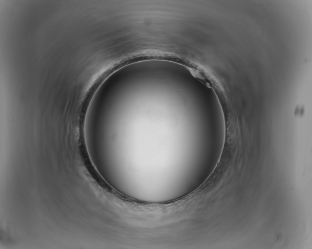 X0000090470015200707201404