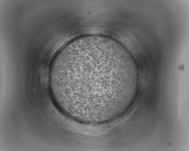 X0000090470016200707201404