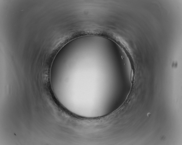 X0000090470017200707201404