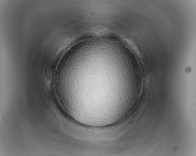 X0000090470018200707201404