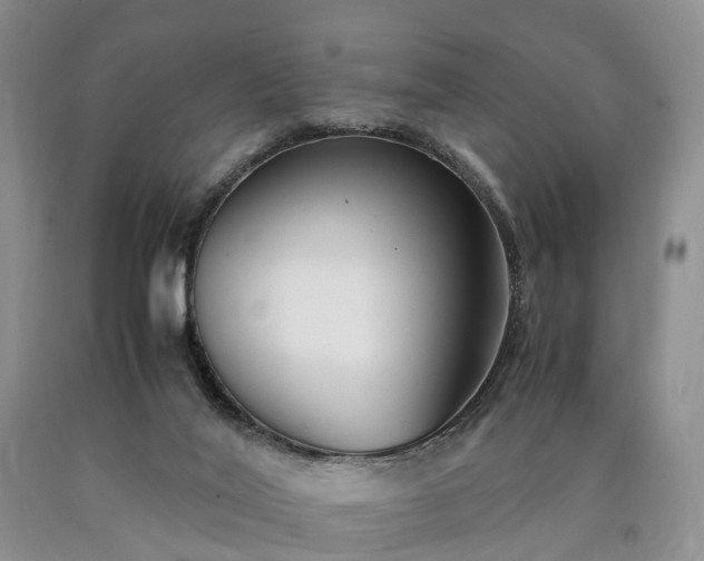 X0000090470020200707201404