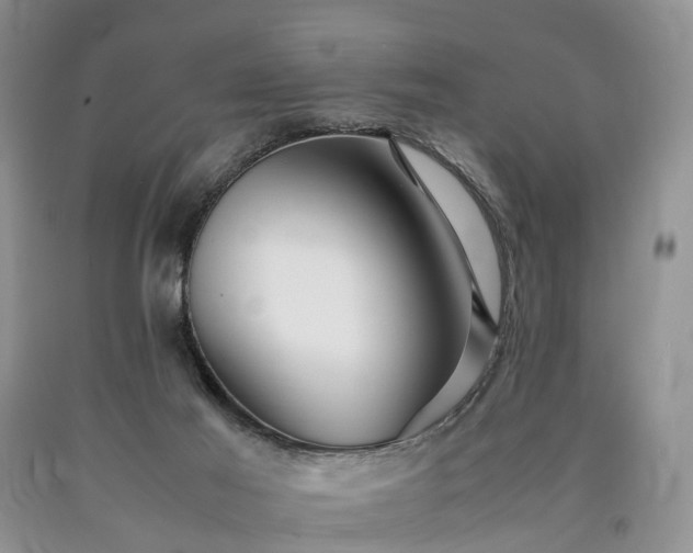 X0000090470021200707201404