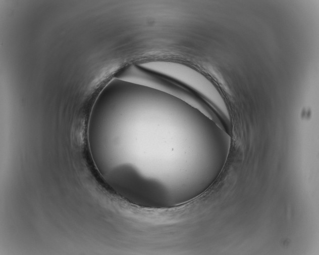 X0000090470023200707201404